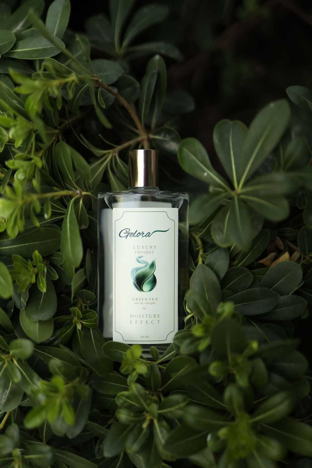 gelora greentea 200 ml