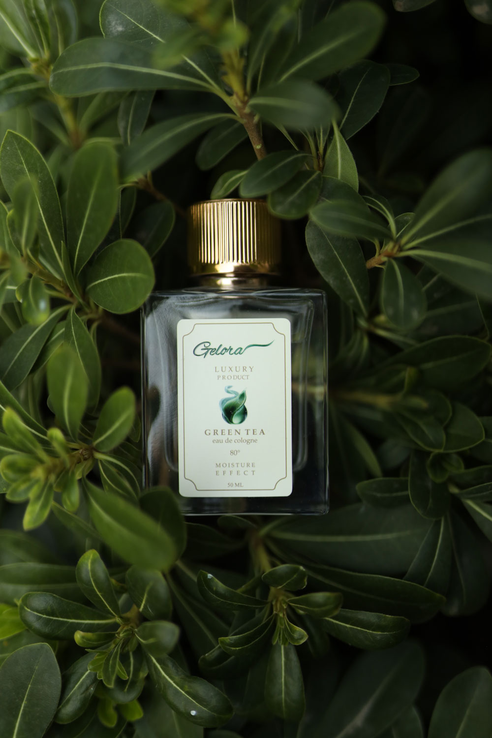 gelora greentea 50 ml