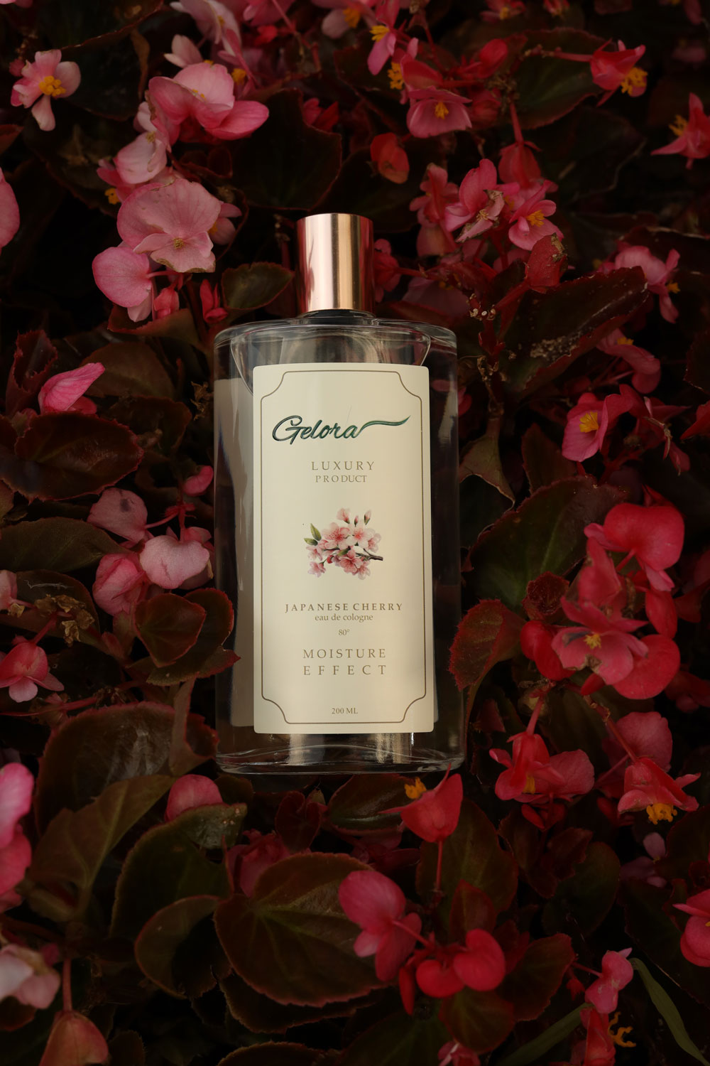 gelora japanese cherry 200 ml