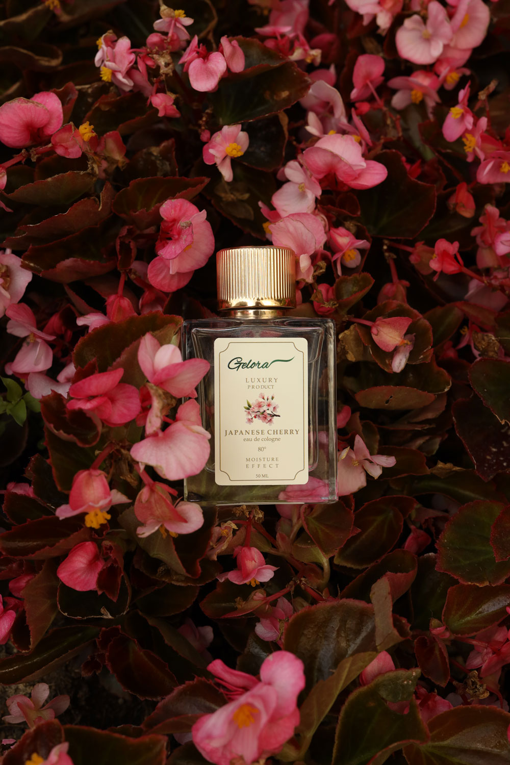 gelora japanese cherry 50 ml