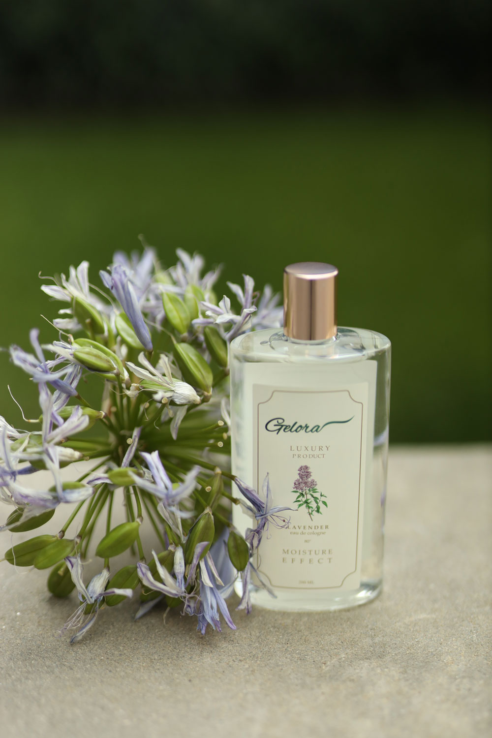 gelora lavender 200 ml