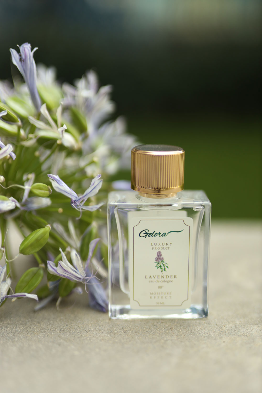 gelora lavender 50 ml